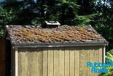 Prep your Shed Roof