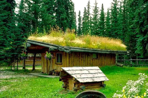 Roof Garden Flat Roofs