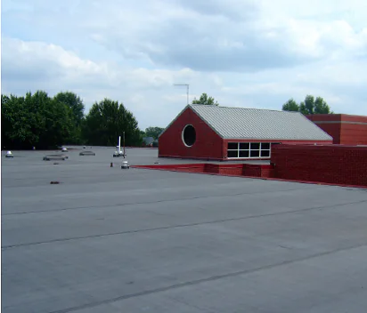 What Are The Disadvantages of Rubber Roofing?